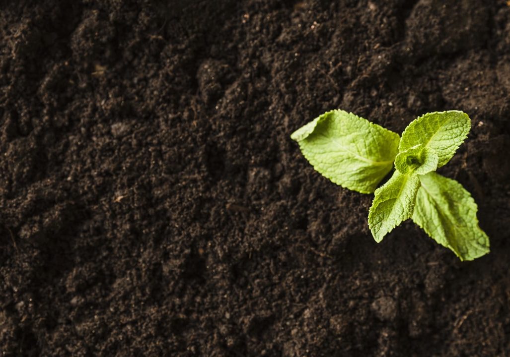 Agricultural materials